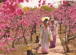 K$?麵碐谻	gR喤D}滦饸D紹S?h?1昇D_W?粕锶?廒鱞爅??H'×f-米兰官网入口